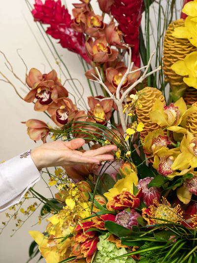 Amazing Colors of Nature